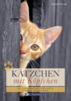   Kätzchen mit Köpfchen