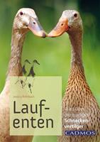   Laufenten