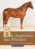   Die Anatomie des Pferdes