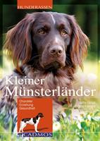   Kleiner Münsterländer
