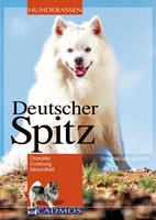   Deutscher Spitz