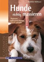   Hunde richtig massieren