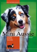   Mini Aussie