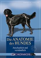   Die Anatomie des Hundes