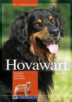   Hovawart
