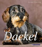   Dackel