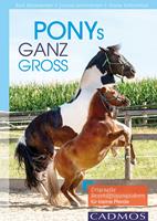   Ponys ganz groß