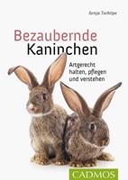   Bezaubernde Kaninchen