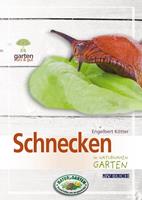   Schnecken