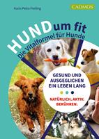   HUNDum fit