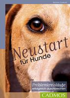   Neustart für Hunde