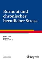   Burnout und chronischer beruflicher Stress