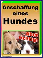   Anschaffung eines Hundes