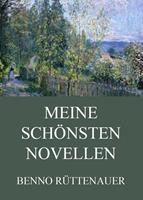   Meine sch&ouml;nsten Novellen
