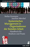   Systemisches Management in Organisationen der Sozialen Arbeit