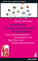   Systemische Gruppenpsychotherapie mit Jugendlichen