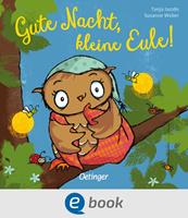   Gute Nacht, kleine Eule!