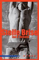   Steife Brise