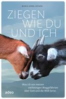   Ziegen wie du und ich