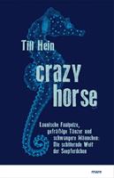   Crazy Horse