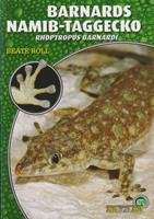   Barnards Namib-Taggecko