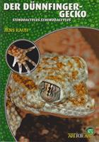   Der Dünnfingergecko