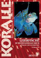   Leierfische im Meerwasseraquarium