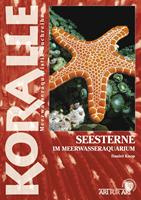   Seesterne im Meerwasseraquarium