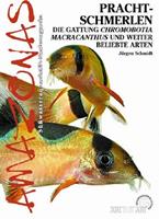   Prachtschmerlen