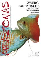   Zwergfadenfische