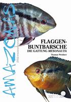   Flaggenbuntbarsche