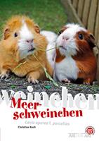   Meerschweinchen