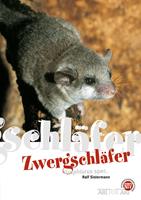  Zwergschläfer