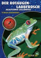   Der Rotaugenlaubfrosch