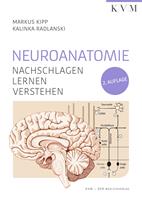   Neuroanatomie