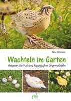   Wachteln im Garten