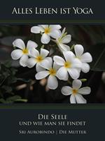   Die Seele und wie man sie findet