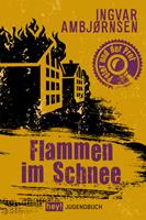   Flammen im Schnee
