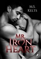   Mr. Ironheart