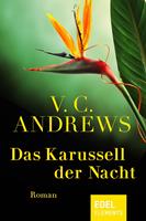   Das Karussell der Nacht
