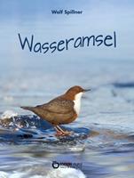   Wasseramsel