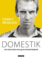   Domestik