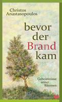   Bevor der Brand kam