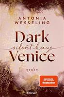   Dark Venice. Silent Haze