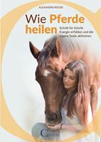   Wie Pferde heilen