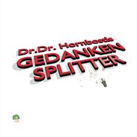   Gedankensplitter