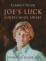  Joe's Luck