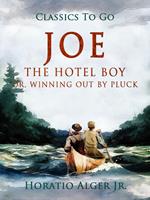   Joe the Hotel Boy