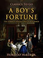   A Boy's Fortune