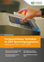   Fortgeschrittene Techniken im SAP-Berechtigungswesen inklusive Fiori und J2EE